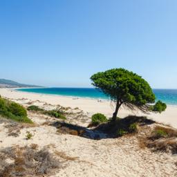 Pauschalreisen Costa de la Luz