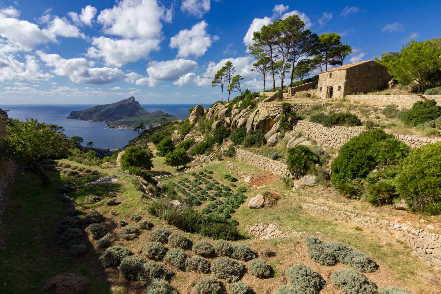 spanien-mallorca-insel-sa-dragonera-g-1389370801.jpg