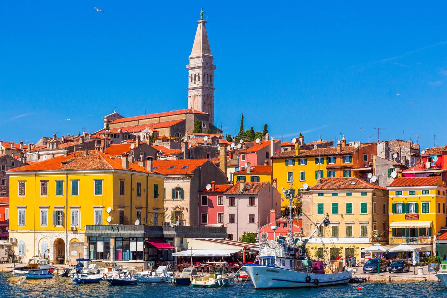 blt5c54d1113283a257-kroatien-istrien-rovinj-stadtpanorama-klein-g-542326258.jpg kroatien-istrien-rovinj-stadtpanorama-klein-g-542326258.jpg