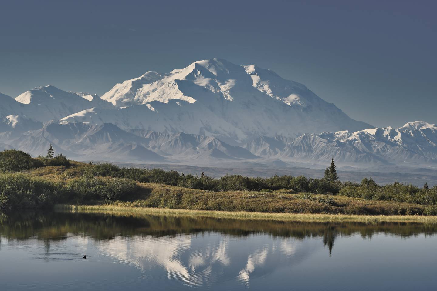 usa-alaska-denali-nationalpark-g-1320222457.jpg