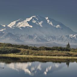 usa-alaska-denali-nationalpark-g-1320222457.jpg