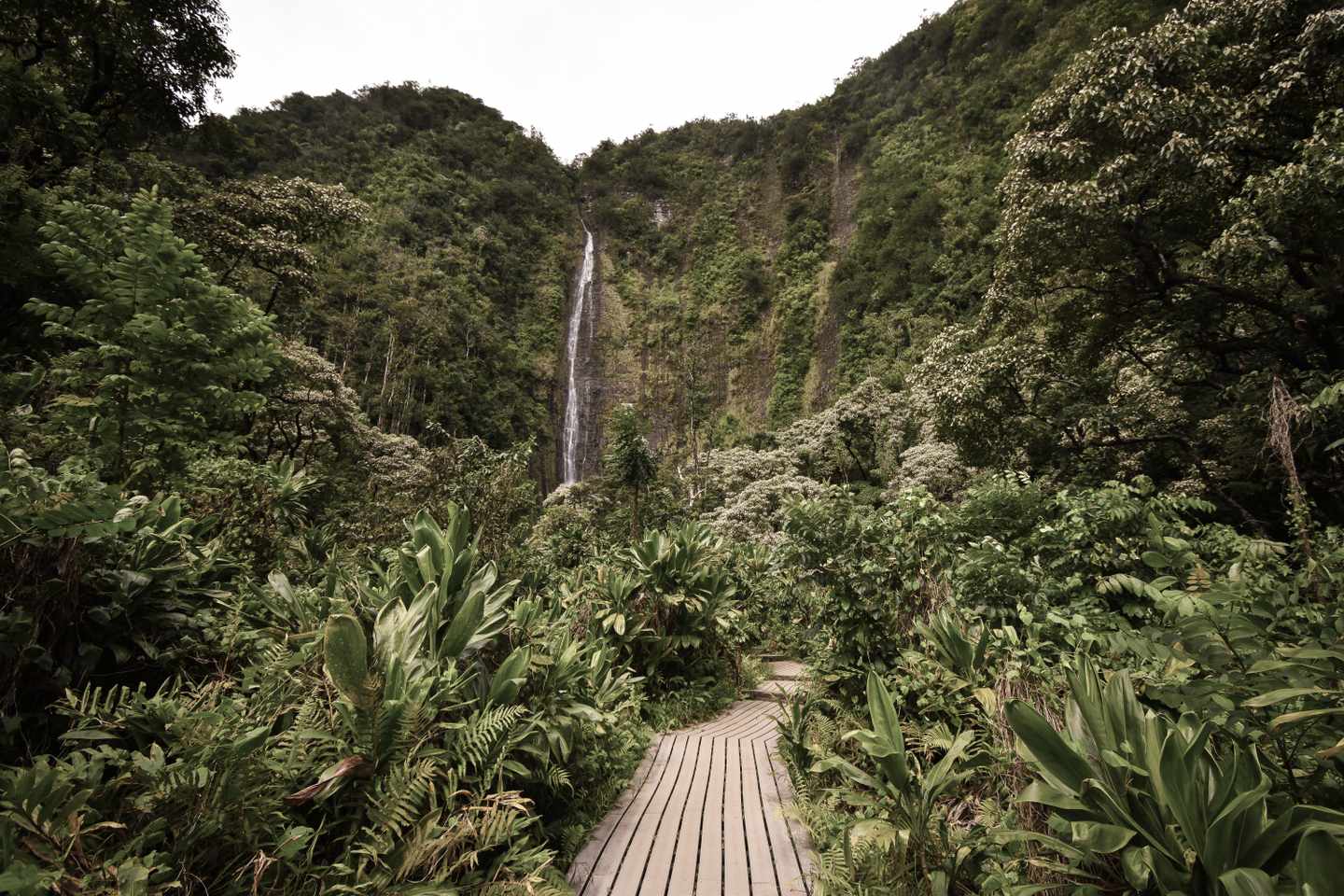 usa-hawaii-maui-makahiku-wasserfall-g-1263696036.jpg