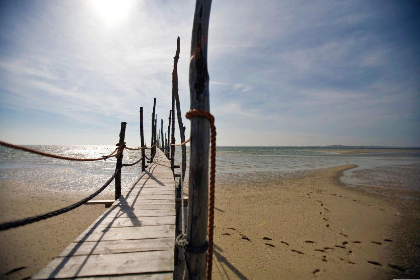 blt7af29e079ea54066-niederlande-nordsee-terschelling--strand-p-I45809.jpg niederlande-nordsee-terschelling--strand-p-I45809.jpg