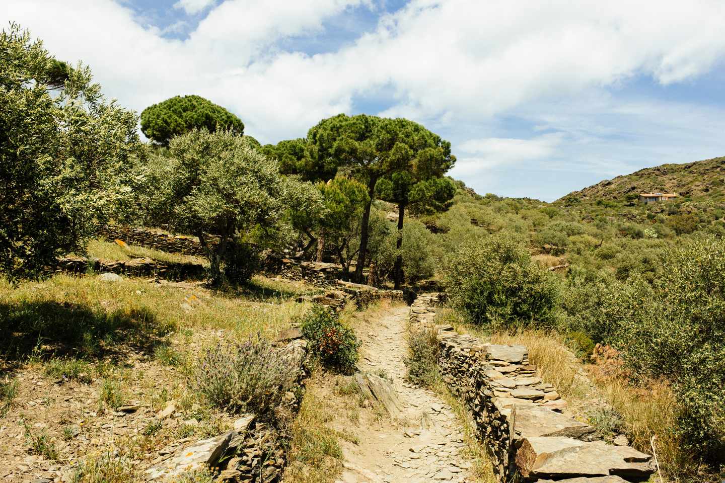 spanien-costa-brava-cami-de-ronda-wanderweg-klein-g-1151021239.jpg
