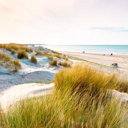 niederlande-zeeland-strand-bei-sonnenuntergang-g-2155475782.jpg