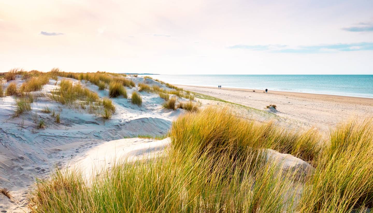 blt8744ace4015bf903-niederlande-zeeland-strand-bei-sonnenuntergang-g-2155475782.jpg niederlande-zeeland-strand-bei-sonnenuntergang-g-2155475782.jpg