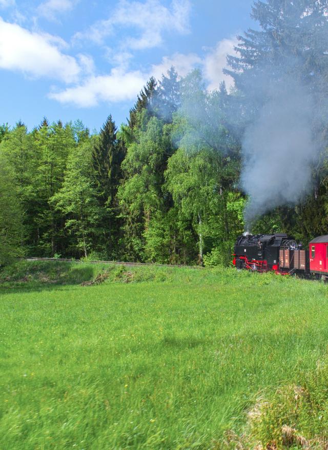 Aktiv im Harz
