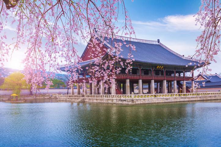 bltc0561f5141fe2f02-suedkorea-palast-gyeongbokgung-blueten-g-641042562.jpg suedkorea-palast-gyeongbokgung-blueten-g-641042562.jpg