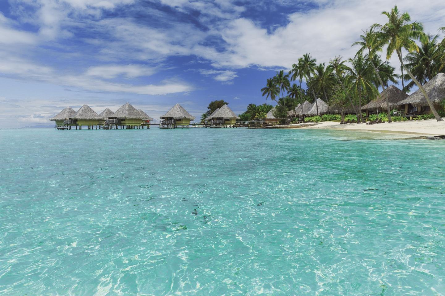 bora-bora-franzoesisch-polynesien-t-498297066.jpg