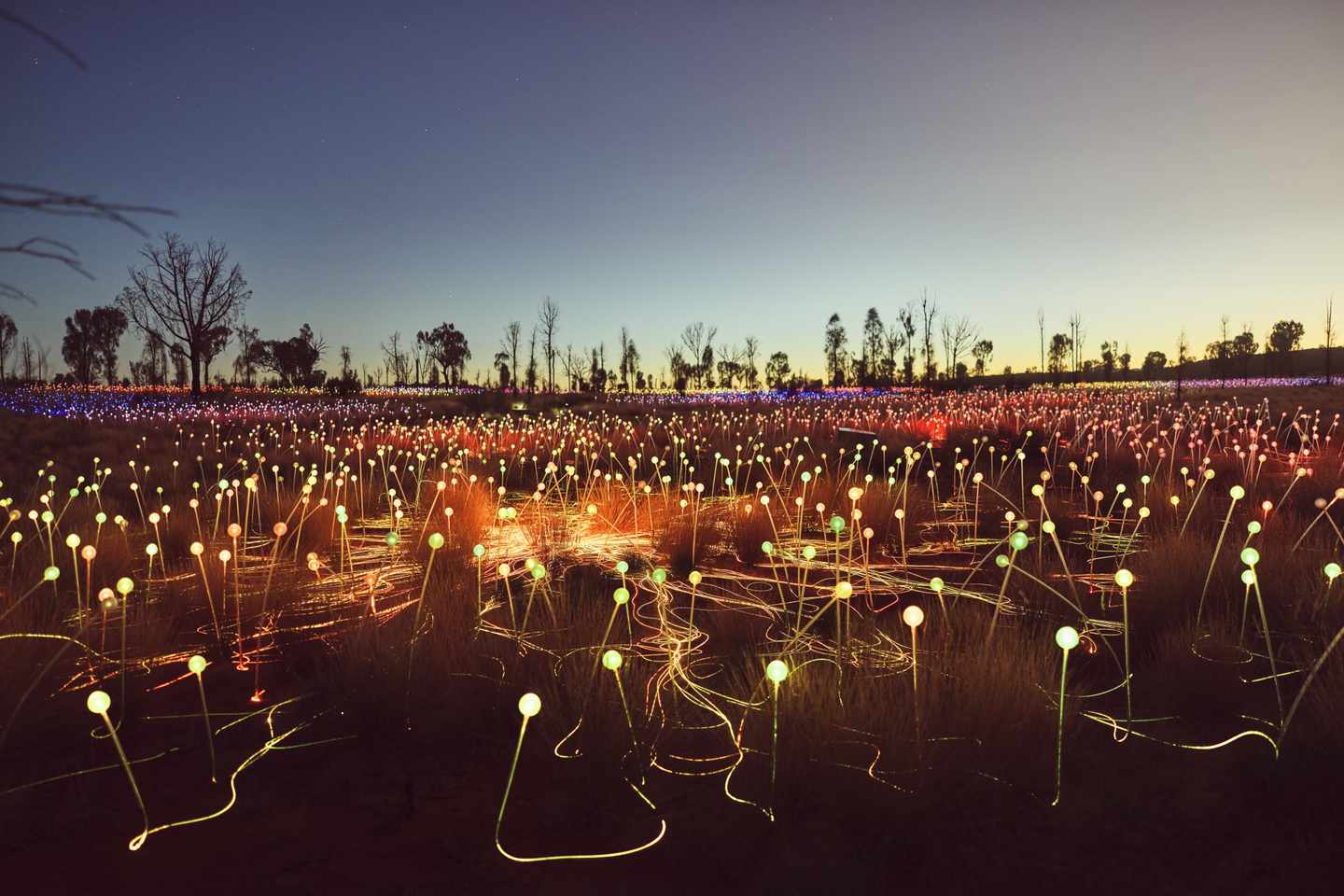 blt9a163119481b0a29-australien-northern-territory-pa-136180-56.jpg Northern-Territory-Sehenswürdigkeiten: Red Centre Field of Lights