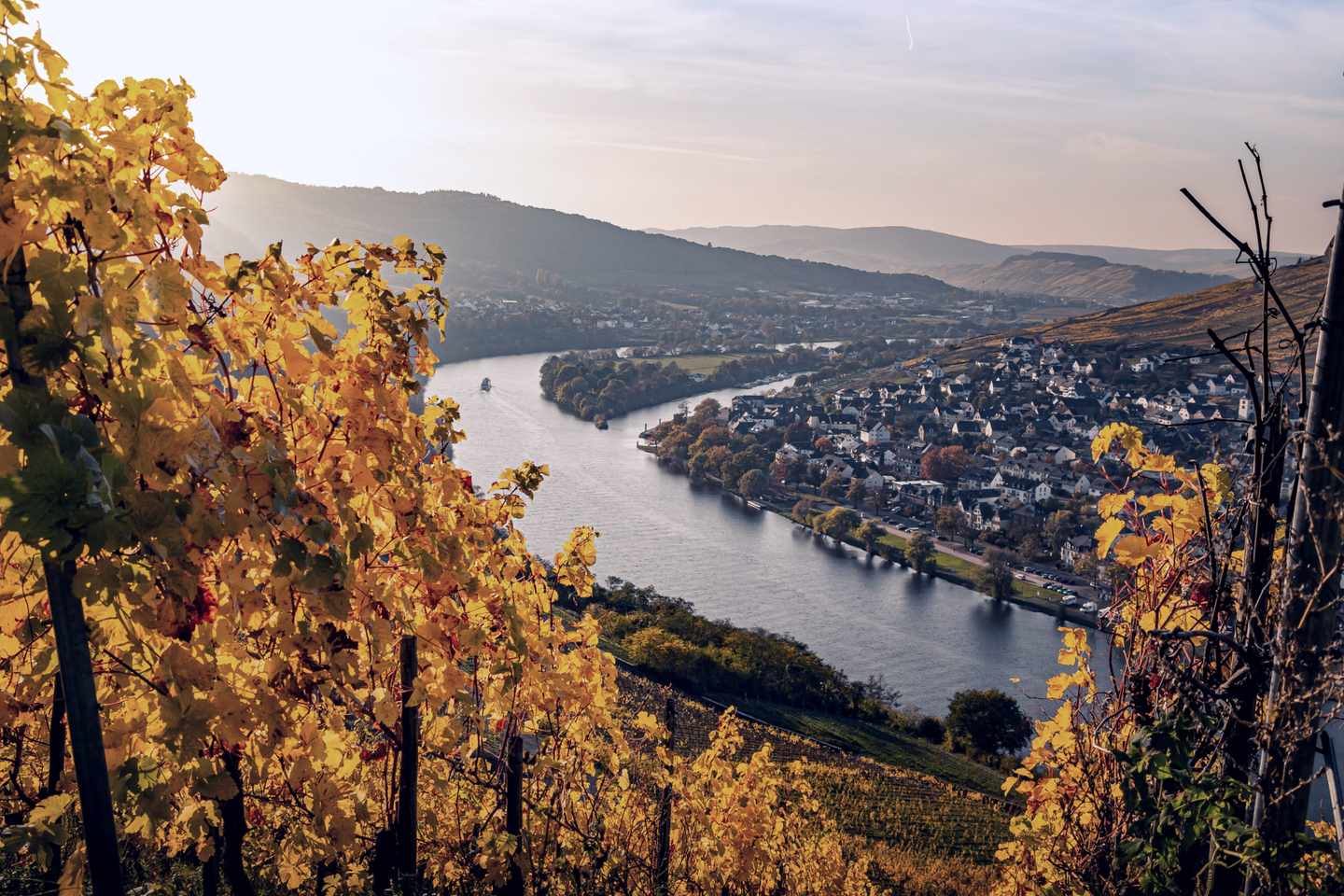 Deutschland-Moseltal-Blick-auf-die-Mosel-g-1202924296.jpg