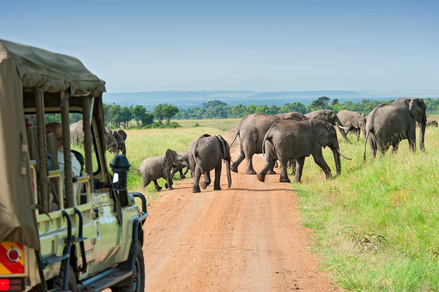afrika-kenia-safari-masai-mara-elefanten-g-168252293.jpg