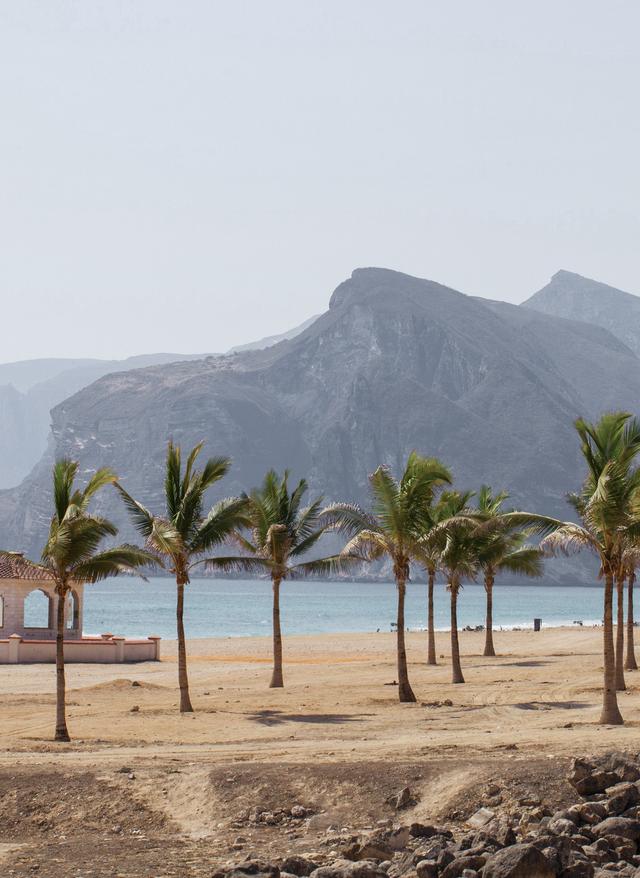 Alle Angebote im Oman Strand mit Palmen