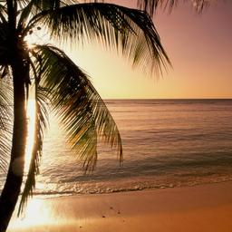 Hotel Tobago