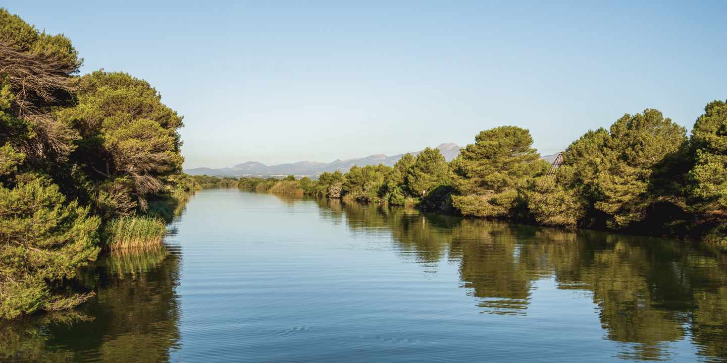 spanien-malloca-s-albufera-g-859285126.jpg