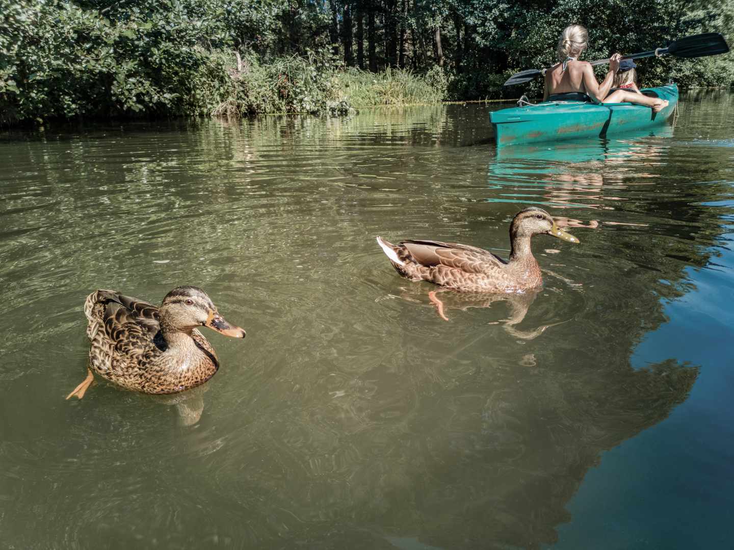 deutschland-brandenburg-spreewald-kanu-mutter-kind-g-1093913400.jpg