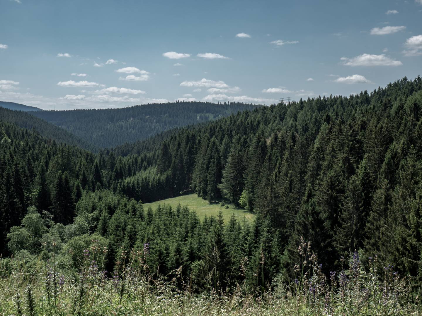 blt7c9c6347f5da65ae-deutschland-thueringen-thueringer-wald-panorama-wald-g-1268198290.jpg deutschland-thueringen-thueringer-wald-panorama-wald-g-1268198290.jpg