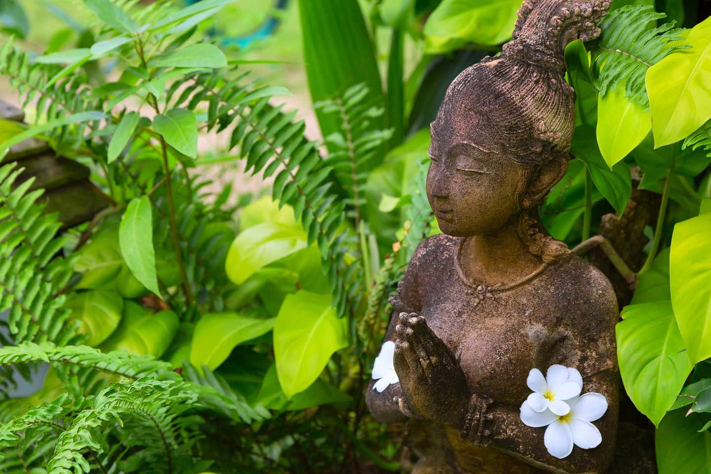 thailand-koh-chang-garten-statur-t-628968308.jpg