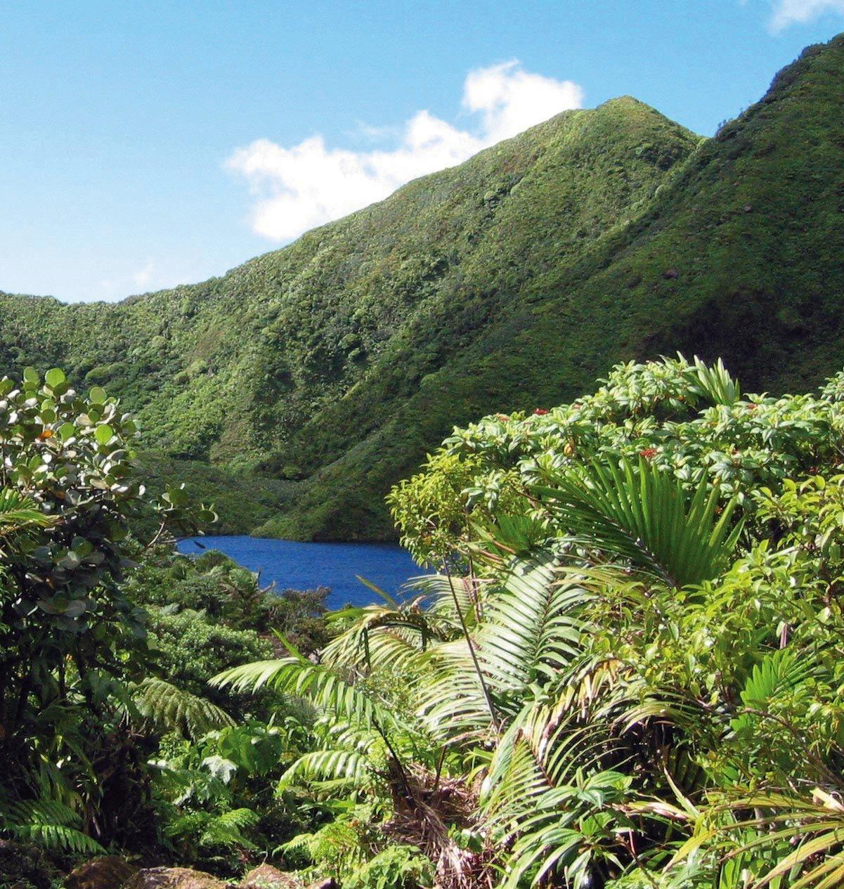 dominica-kueste-mk48271.jpg