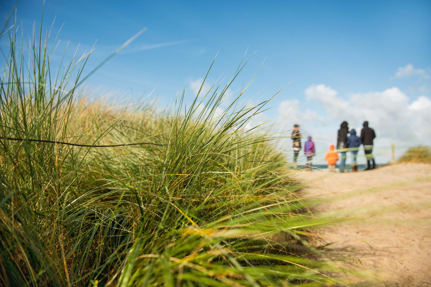 deutschland-nordsee-duenen-familie-g-175171790.jpg