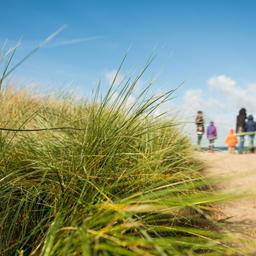 Urlaub in Pellworm