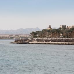 aegypten-makadi-bay-strand-palmen-g-810846880.jpg