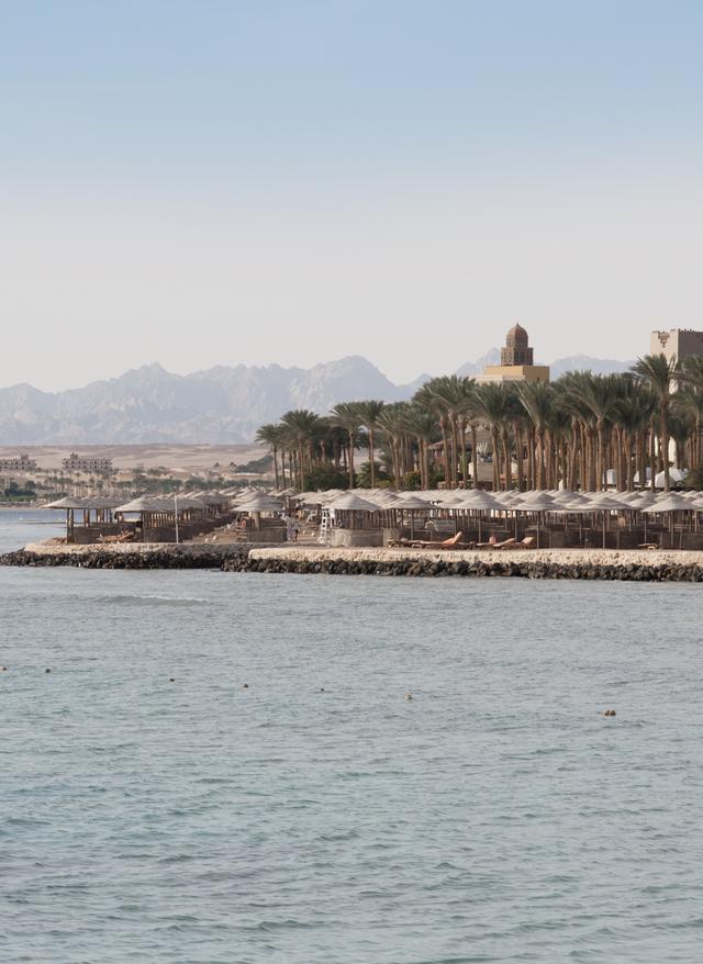 aegypten-makadi-bay-strand-palmen-g-810846880.jpg
