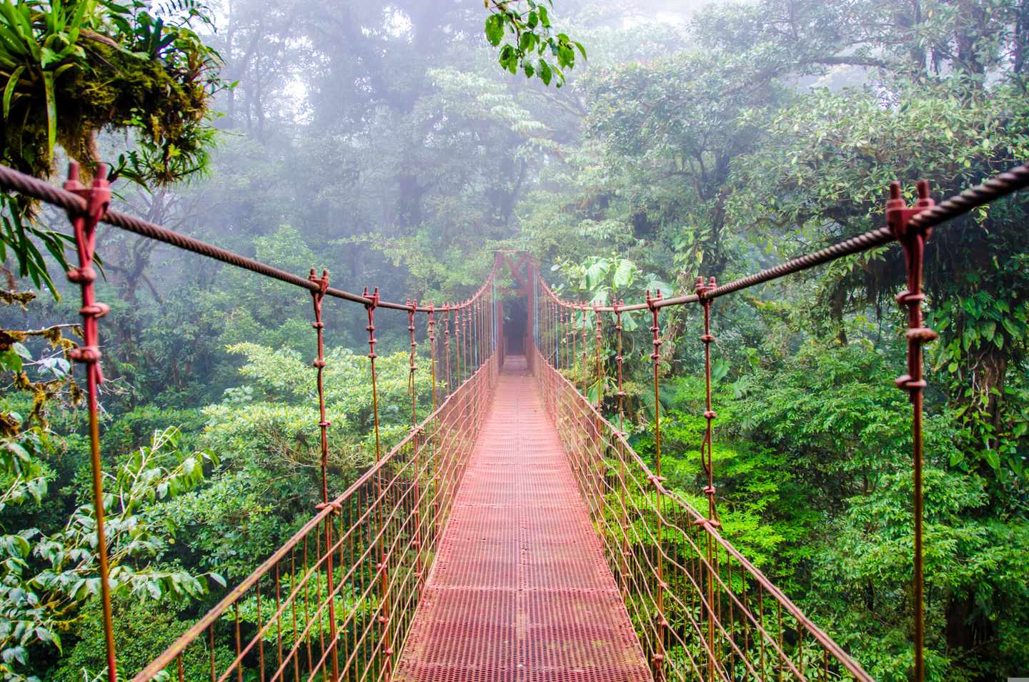 costa-rica-monteverde-regenwald-bruecke-klein-g-467010064.jpg