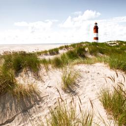 deutschland-borkum-strand-mit-leuchtturm-g-182216342.jpg