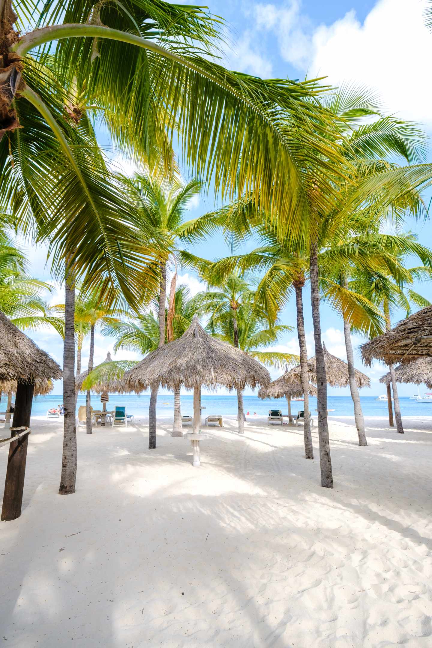 GettyImages-2080151697.jpg Strand mit Palmen auf Aruba