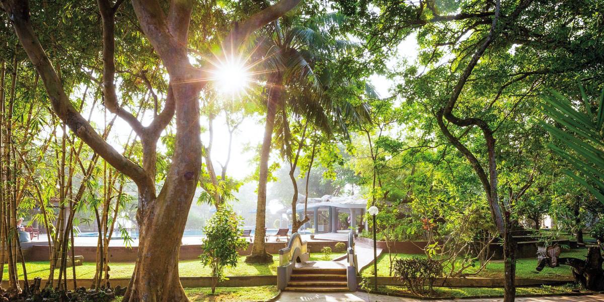 KV-Sri Lanka-Wadduwa-h-Siddhalepa Ayurveda Health Resort.jpg