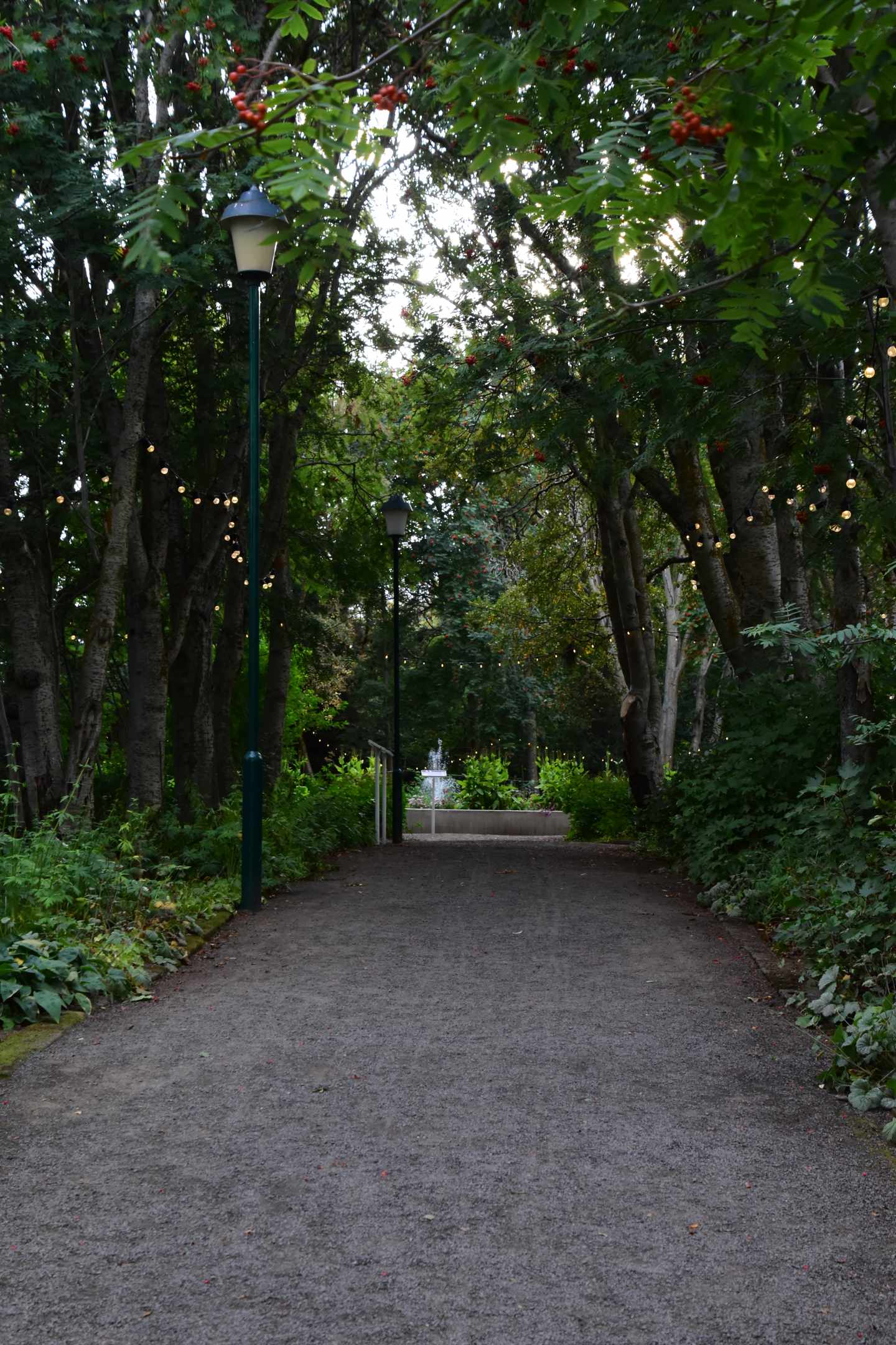 blt6b16d216b660f321-island-akureyri-botanischer-garten-weg-i-lena-herrmann.JPG Botanischer Garten in Akureyri