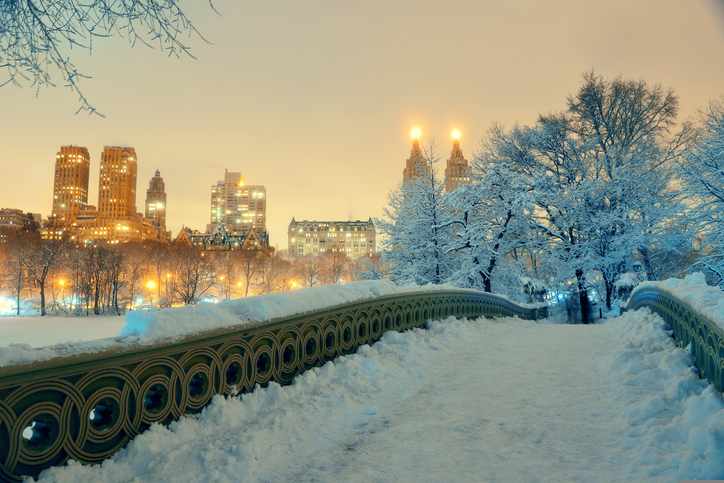new-york-central-park-schnee-winter-g-543477586.jpg