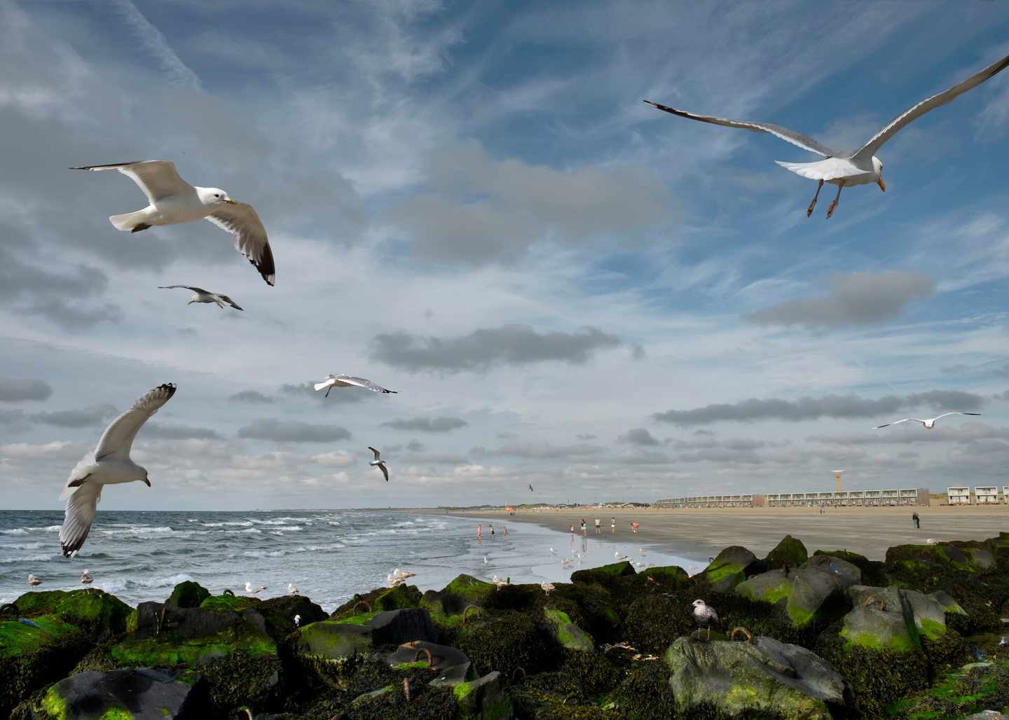 niederlande-hoek-van-holland-strand-klein-g-813922336.jpg