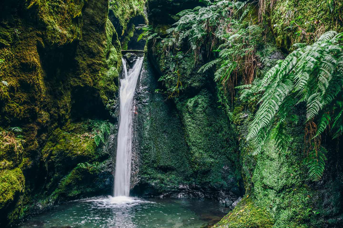 Schmaler Wasserfall im Caldeirão do Inferno zwischen moosbewachsenen Felsen und Farnen auf Madeira, Portugal
