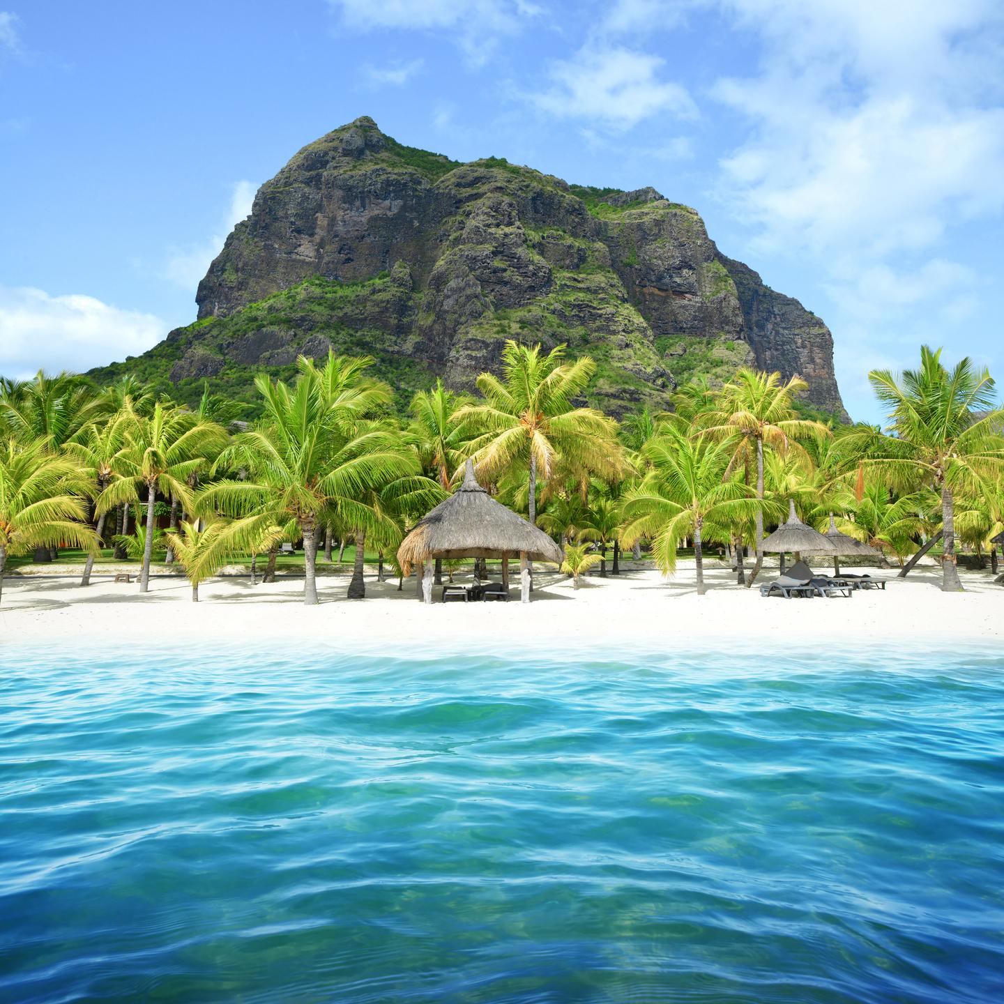 mauritius-le-morne-brabant-berg-strand-palmen-g-1192448083.jpg