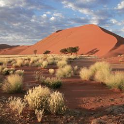 afrika-namibia-sossusvlei-g-148225451.jpg