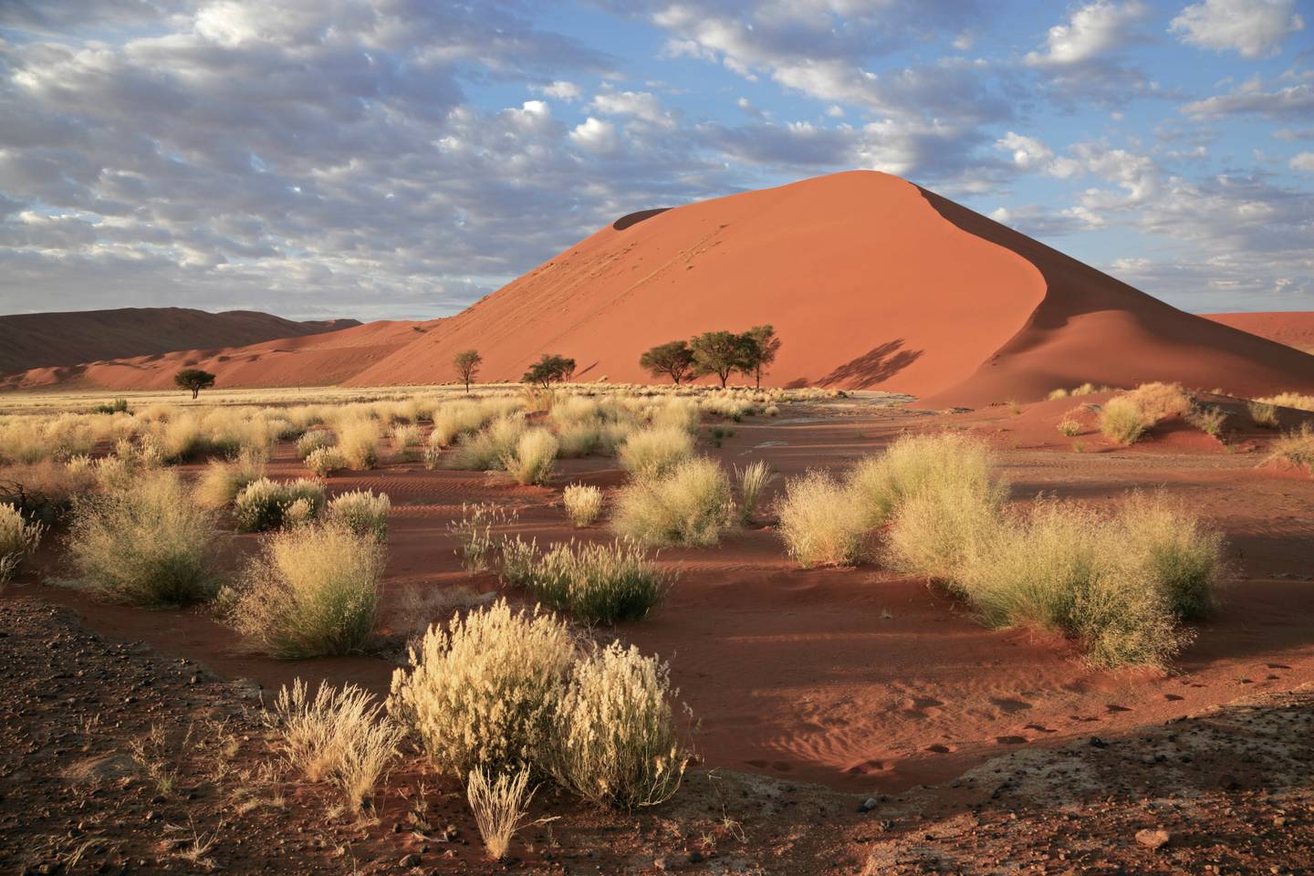 afrika-namibia-sossusvlei-g-148225451.jpg