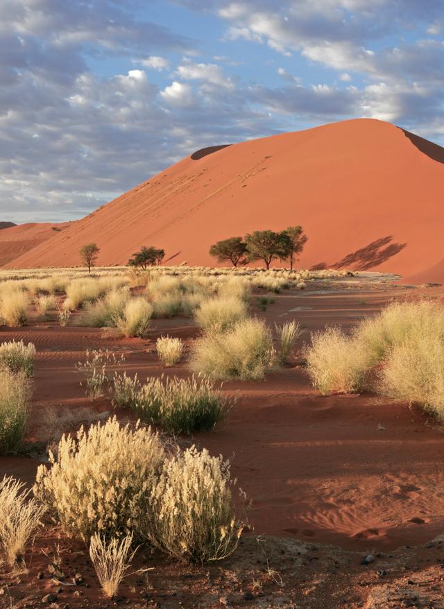 Namibia Urlaub afrika-namibia-sossusvlei-g-148225451.jpg