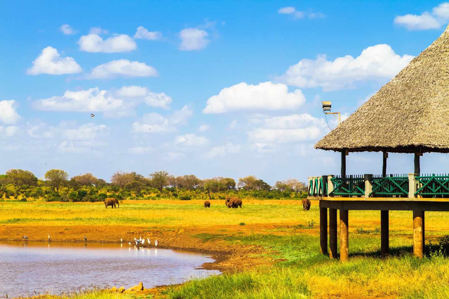kenia-tsavo-national-park-t-670577938.jpg