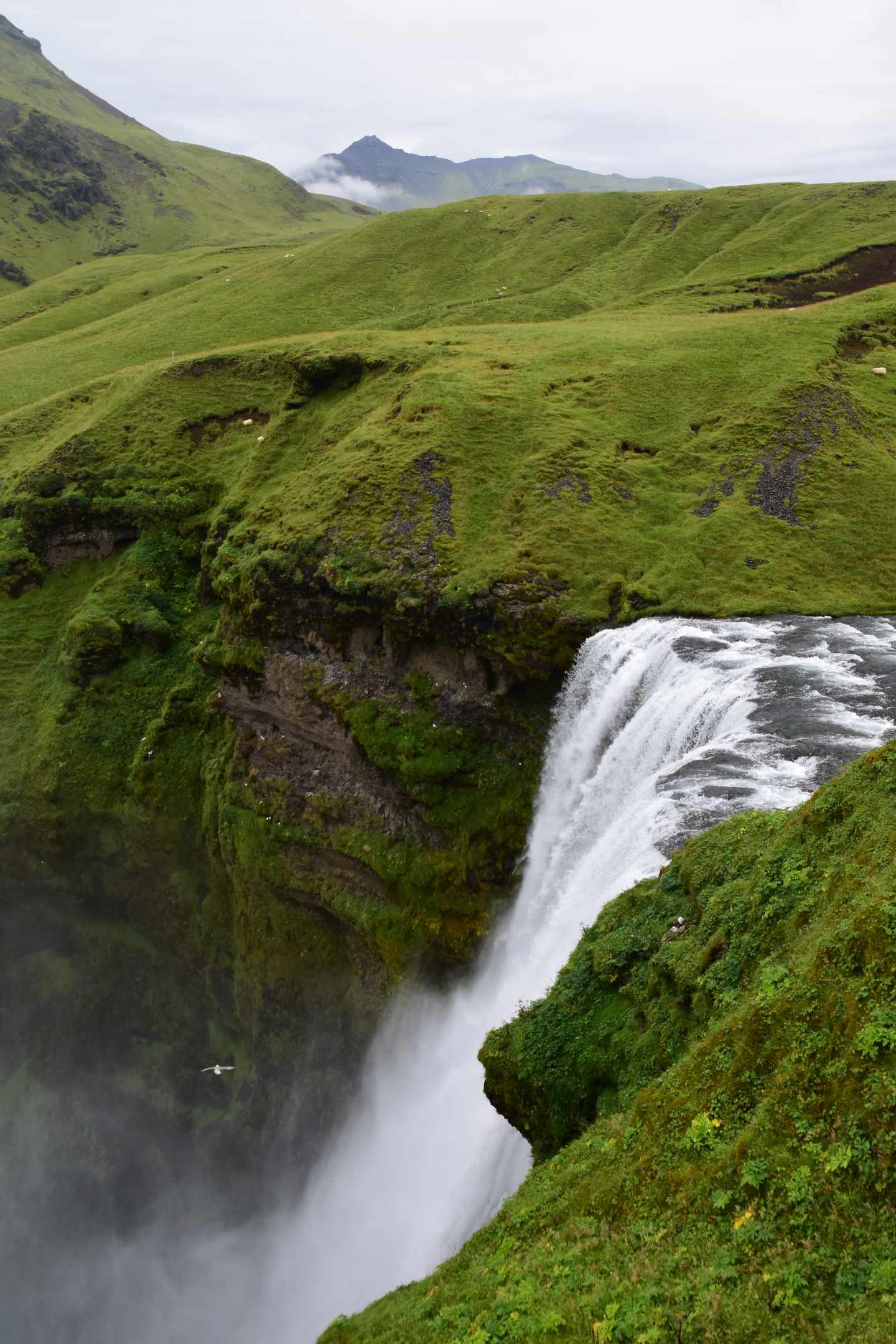 bltf0d13b93eba568c1-island-skoga-tal-wasserfall-i-lena-herrmann.JPG Wasserfall im Skoga Tal