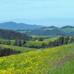 Urlaub im Schwarzwald