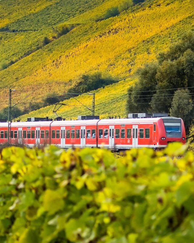 Die Bahn im Grünen