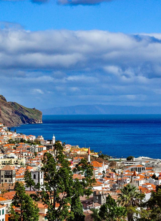 Funchal Urlaub portugal-madeira-funchal-stadtpanorama-klein-g-498882476.jpg