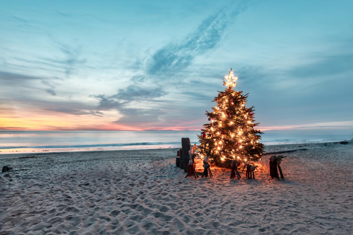 blt2395036ab31dd8bf-usa-kalifornien-crystal-cove-weihnachtsbaum-am-strand-g-1443909907.jpg usa-kalifornien-crystal-cove-weihnachtsbaum-am-strand-g-1443909907.jpg
