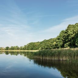 deutschland-brandenburg-potzlow-see-g-1027807072.jpg