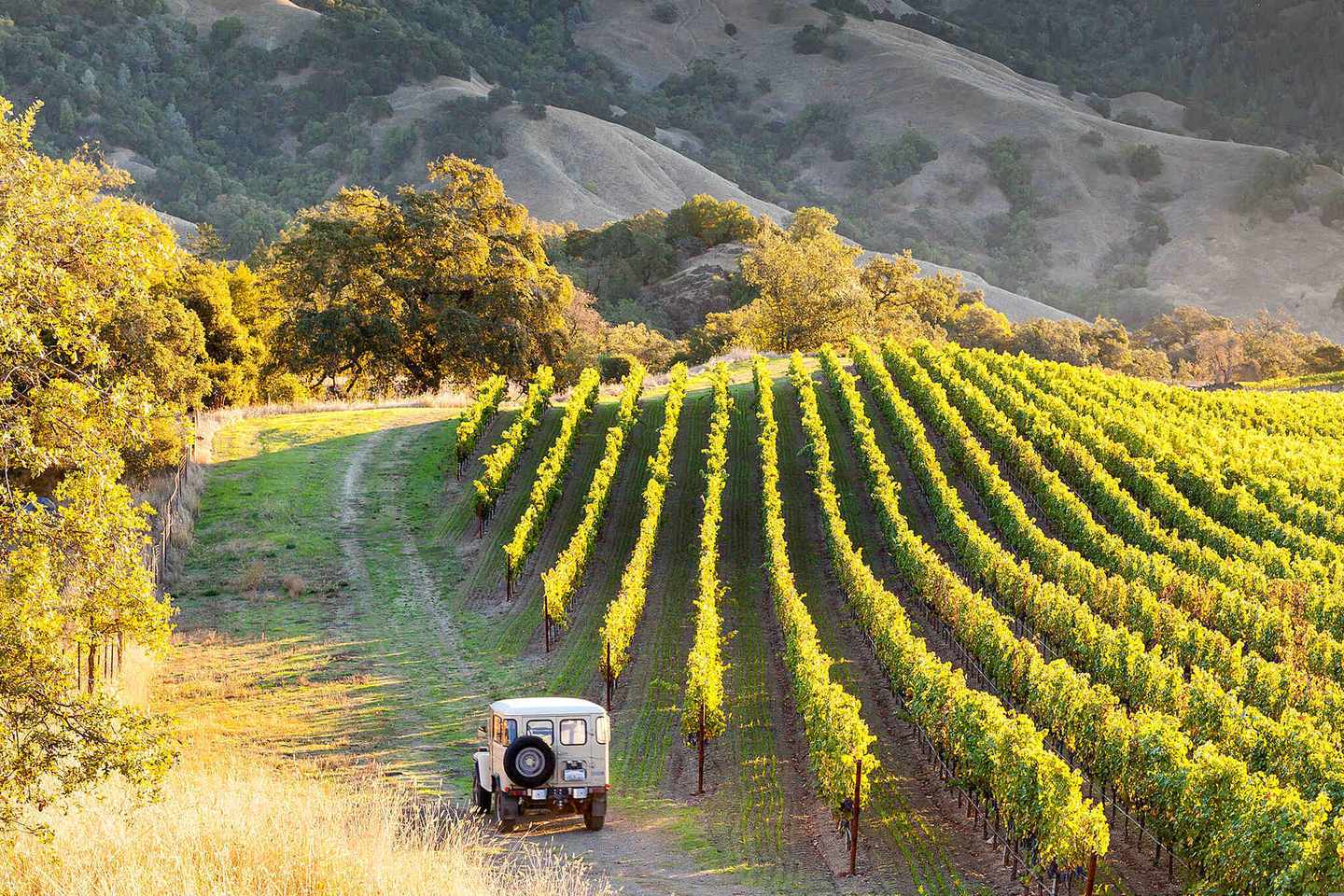 usa-kalifornien-sonoma-county-vineyards-mit-jeep-g-1140676522.jpg