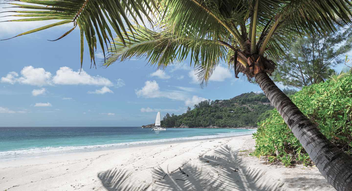 hawaii-sandstrand-palmen-segelboot-g-931160498_bearbeitet.jpg