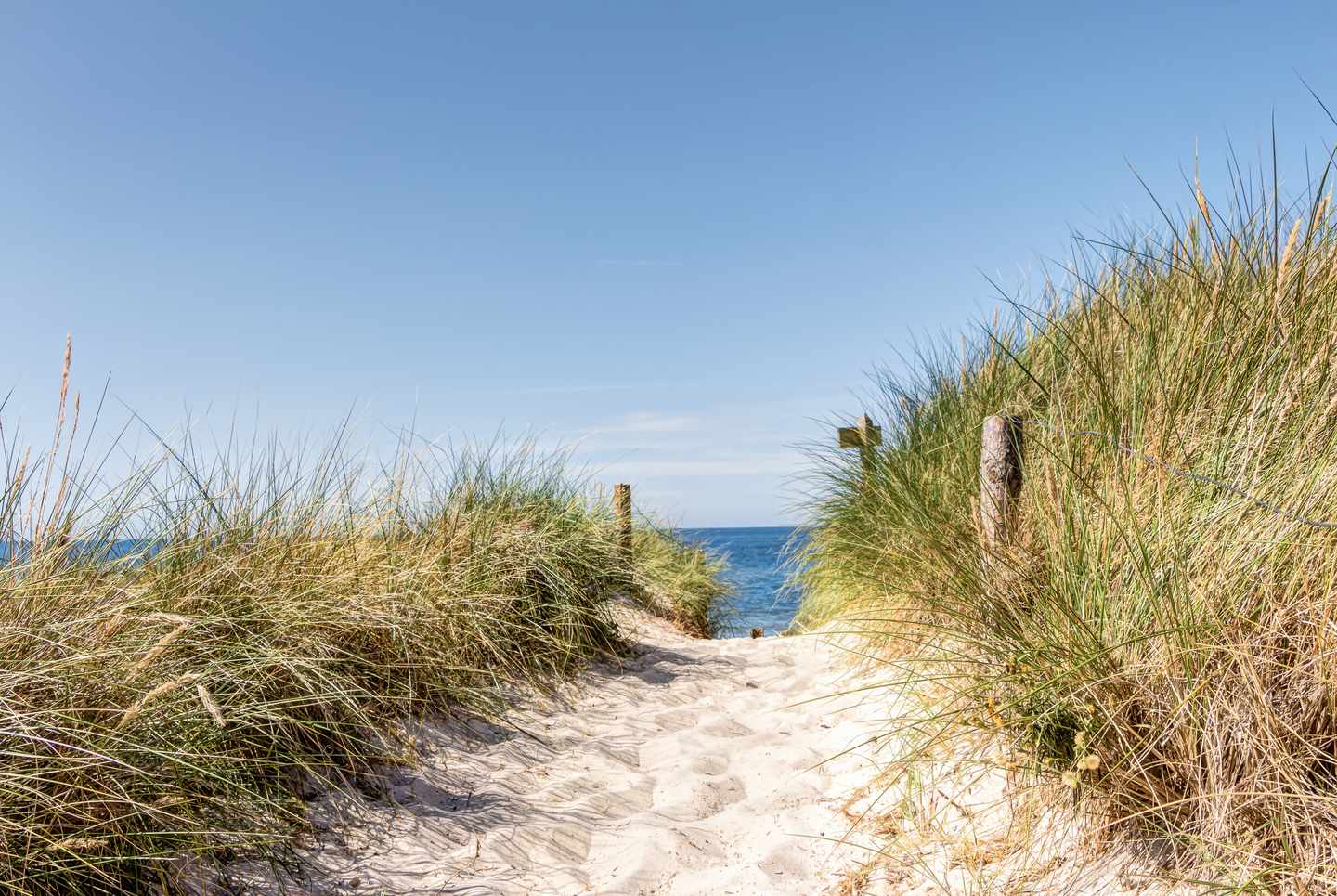 deutschland-mecklenburg-usedom-strand-und-duenen-g-602328892.jpg
