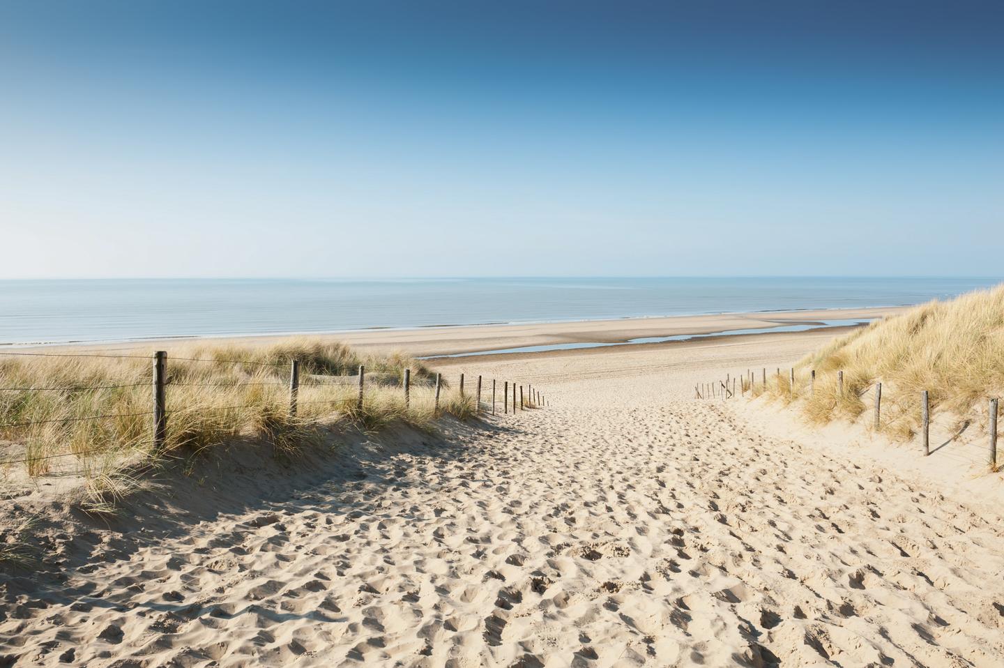 niederlande-noordwijk-duenen-nordsee-g-973973960.jpg